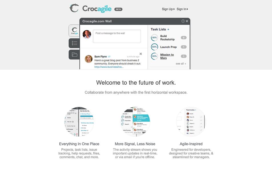 Crocagile image