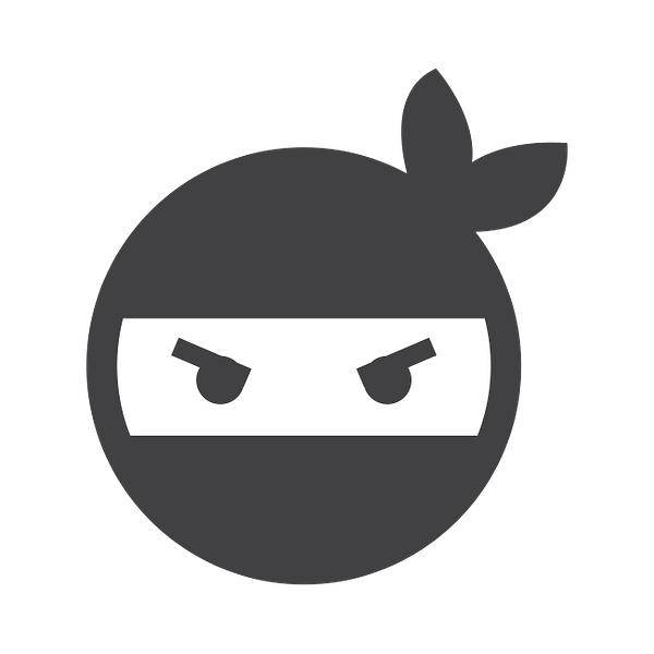 Ninja Reports image