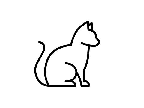 Pocket IP image
