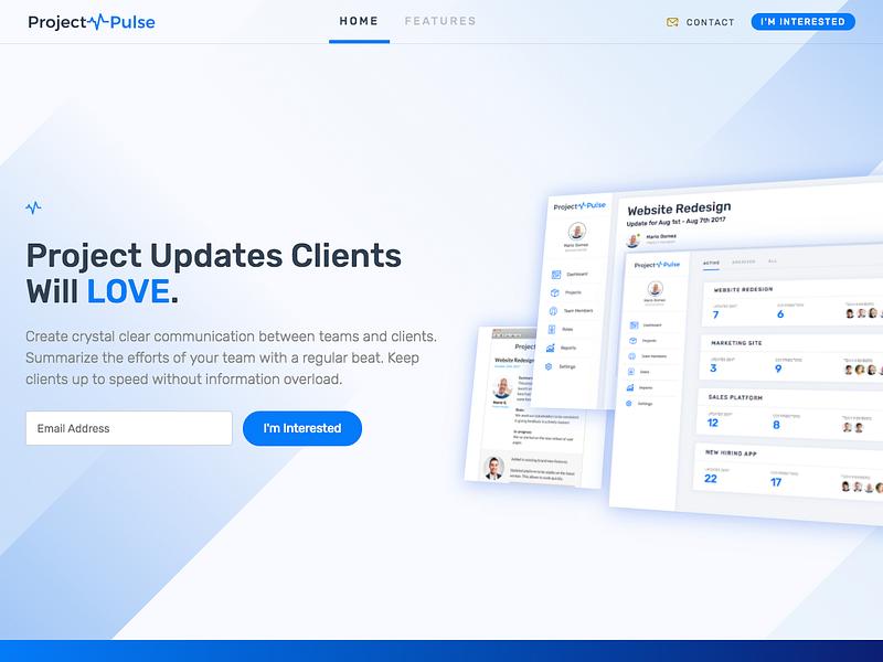 Project Pulse image