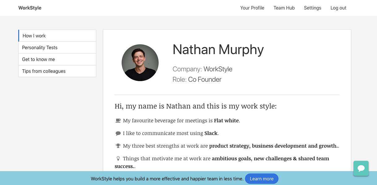 WorkStyle preview
