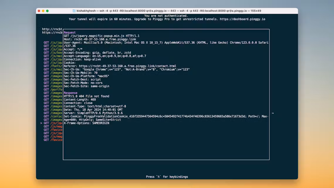 Pinggy preview
